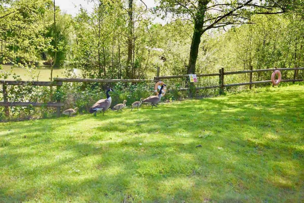 E7 Roebeck Country Park Villa Ryde  Luaran gambar